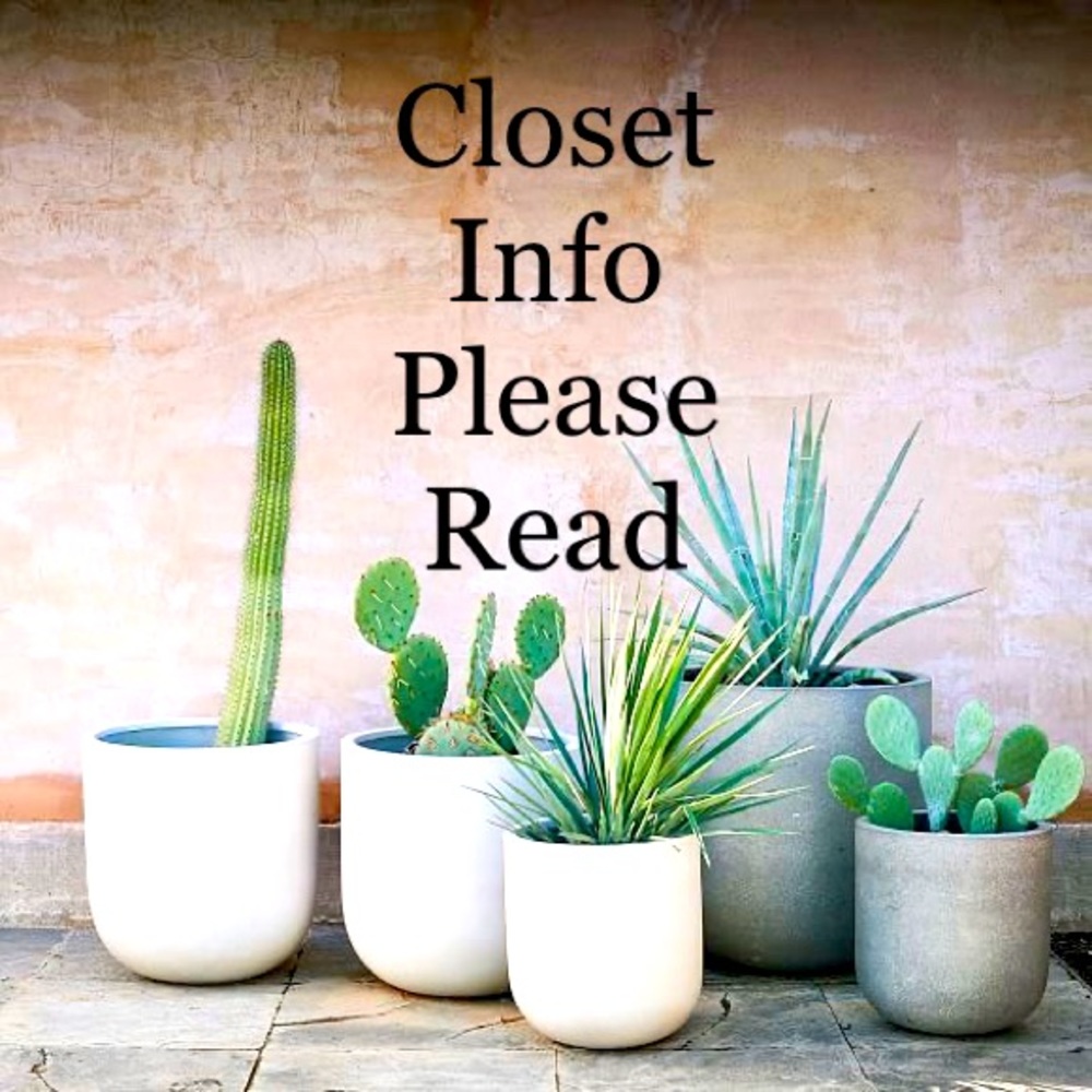 🌵🌵🌵